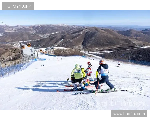 重庆极限运动队的运营模式与发展趋势深度解析